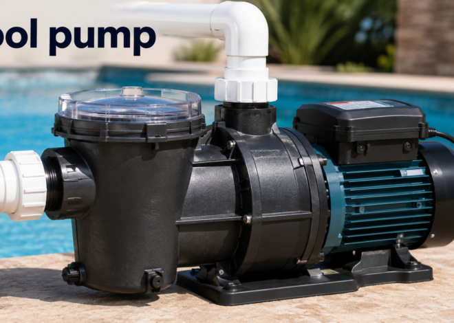 Best Cartridge Pool Filter Features for Cleaner Water